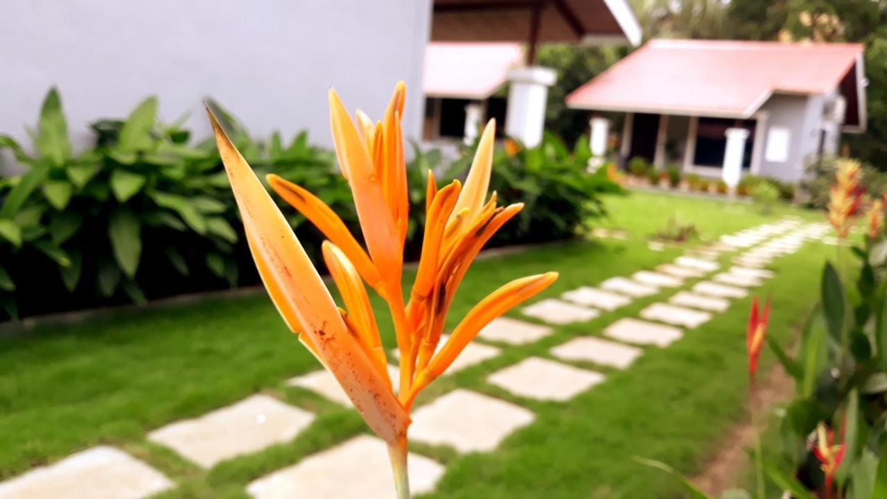 Arcadia Resort Alibaug 알리바그 외부 사진